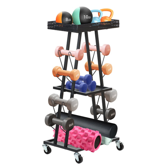 Gym Storage and Weight Rack