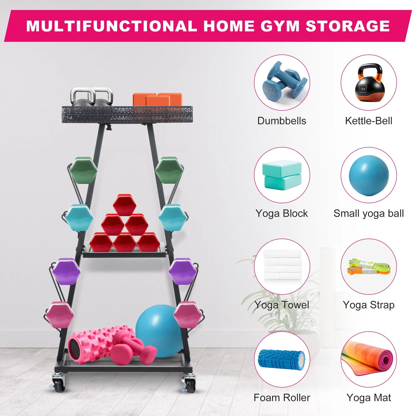 Gym Storage and Weight Rack